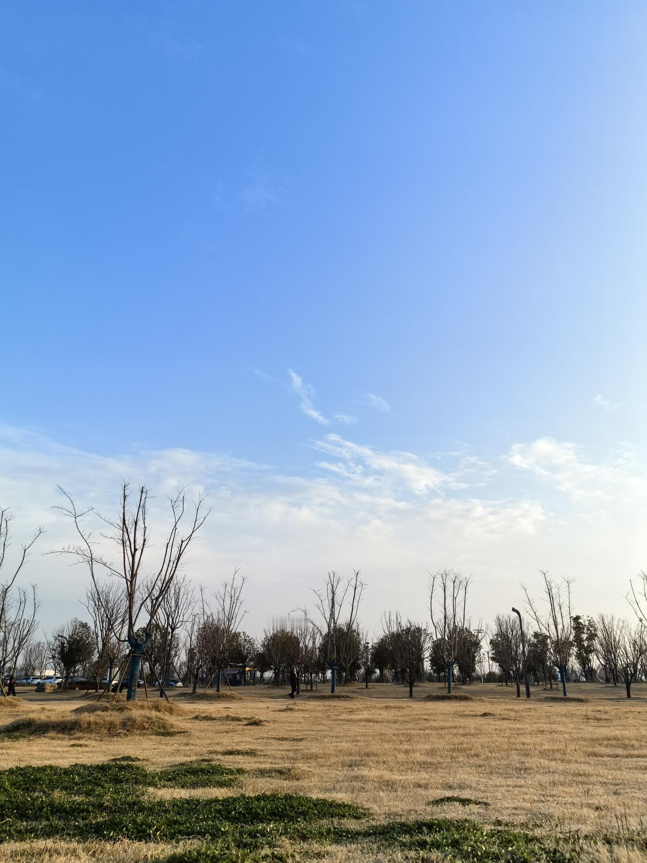 小寒已过，开始迎接大寒天。这天气大抵是铁了心要冷，横竖暖和不起来了，左边的风，凉