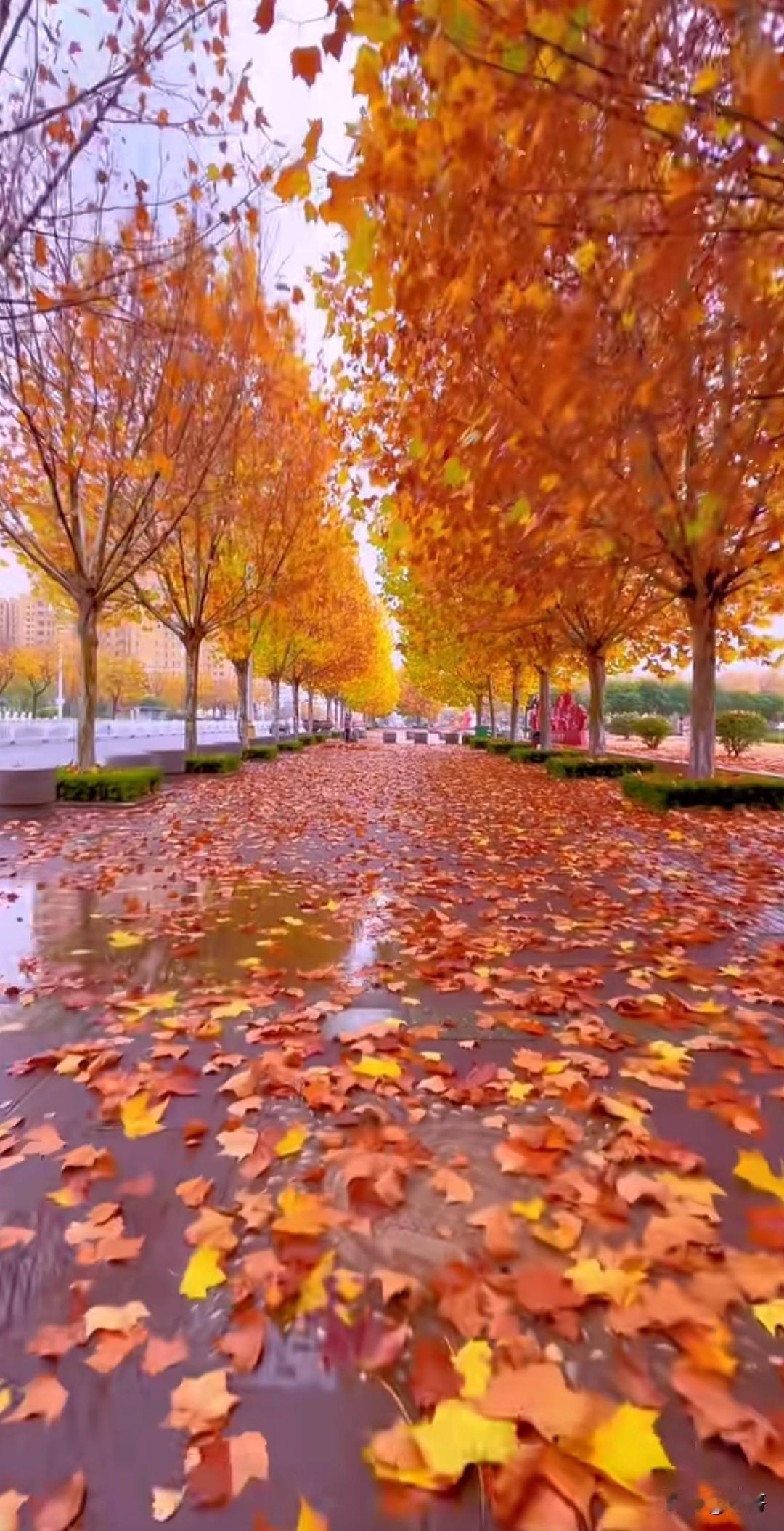 毛主席最伟大的历史功绩是什么建立了新中国，改变了亿万人的命运[比心]