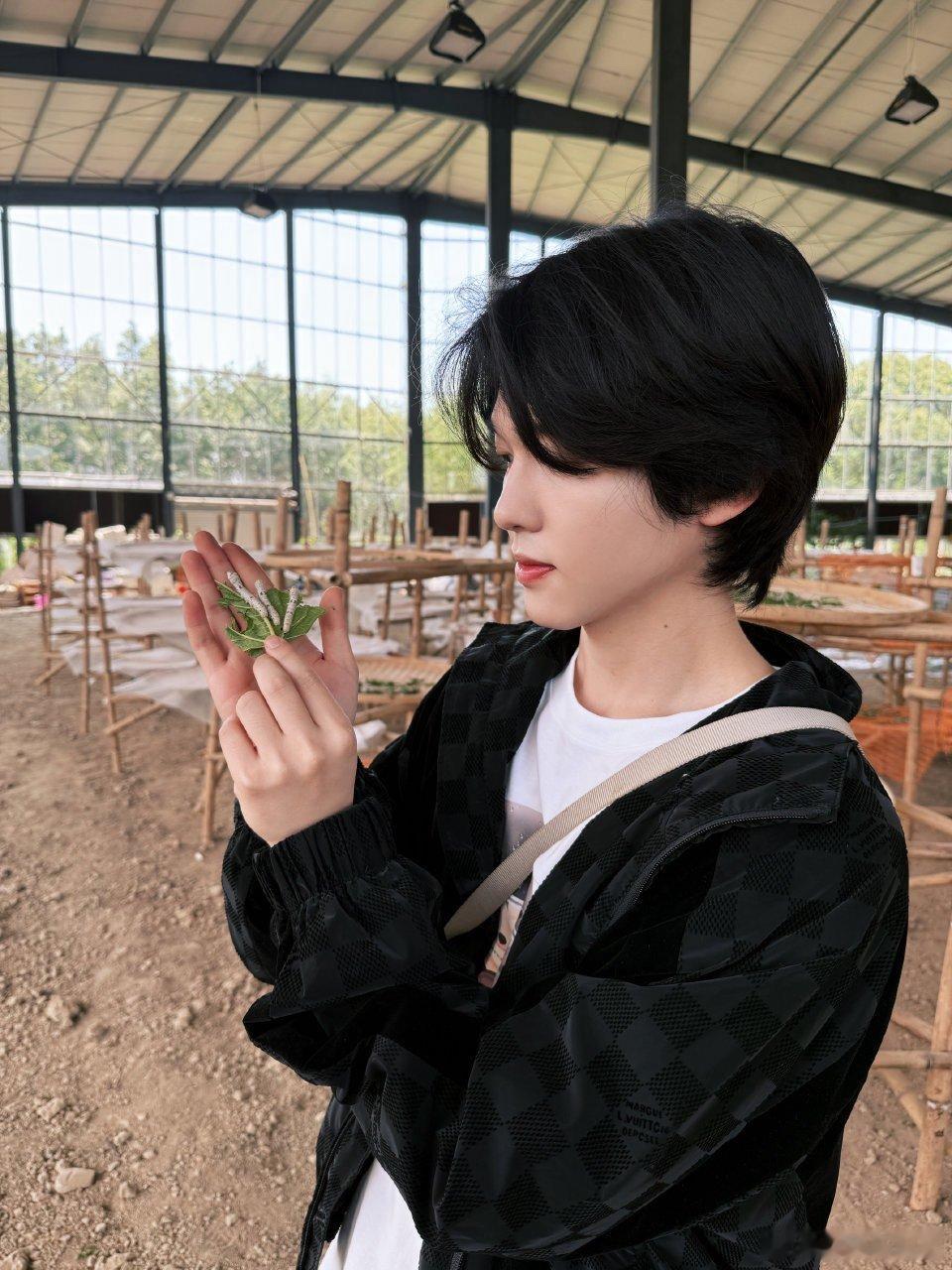 李昊监工直播  李昊监工直播来咯！一起云养蚕李昊养蚕直播种地吧 ​​​