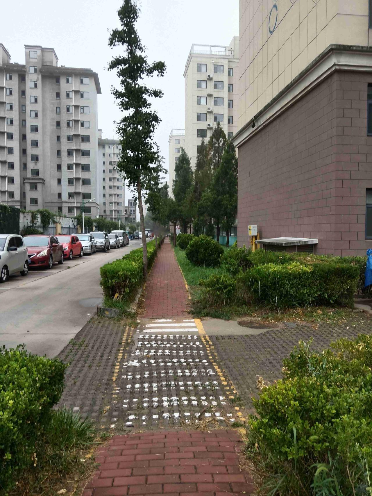 我的今日状态：💰期待暴富
我这里的天气：🌤️多云