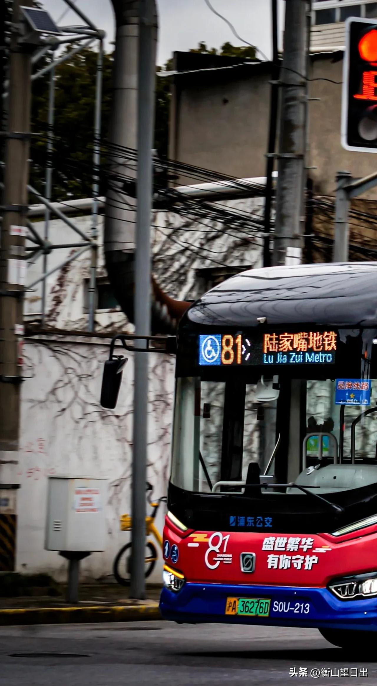 上海81路公交车，一条藏着城市烟火的线路

在上海坐公交，很多浦东本地人都会提起
