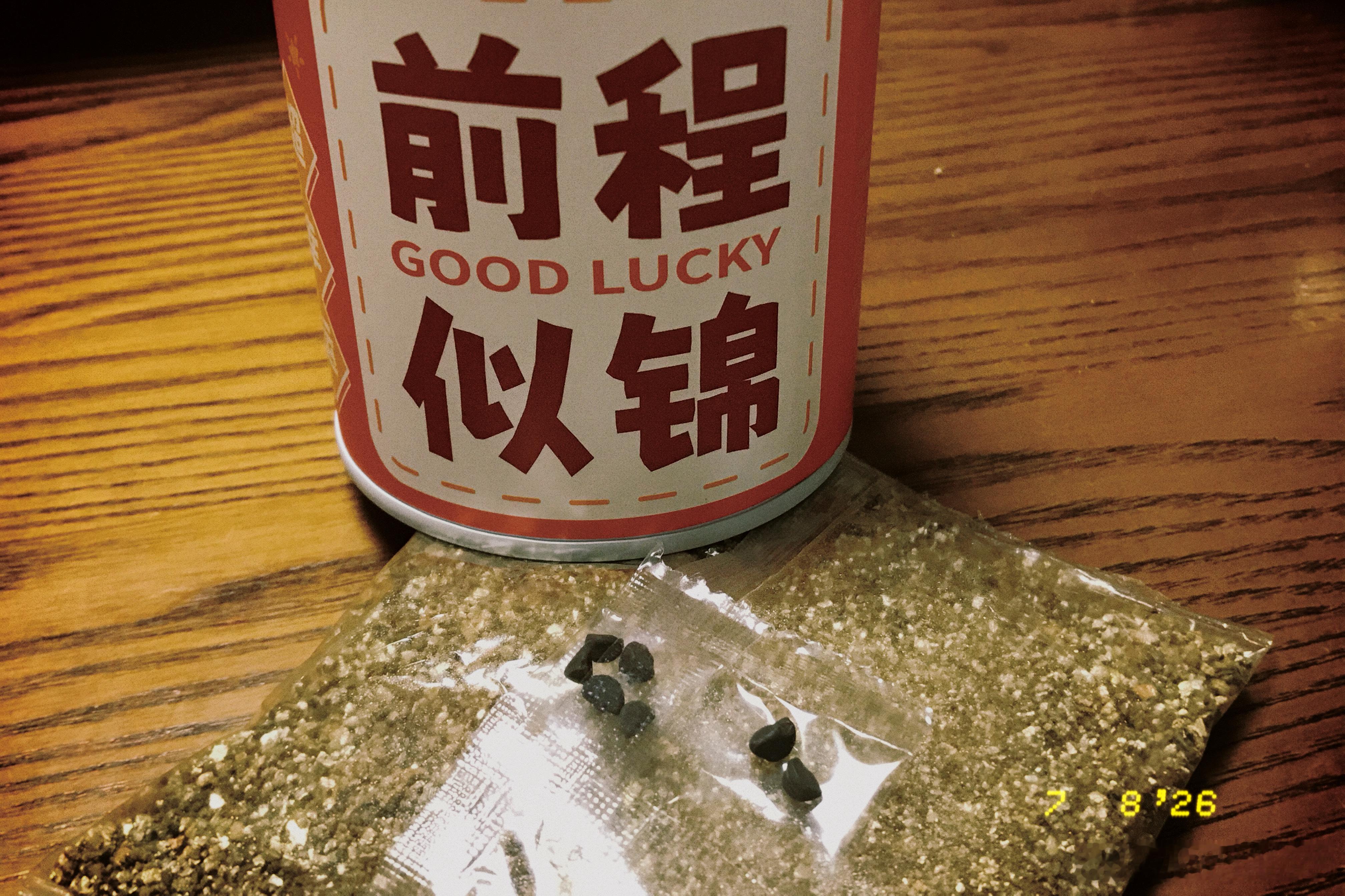 小朋友参加完活动的战利品兴高采烈的跟我分享回答问题获得三份种子现在种子种植这种小