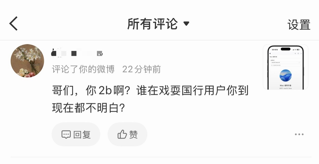 我真的很烦这种人，而且还特别多这样的之前苹果 AI 一出来的时候要是合规的话能不