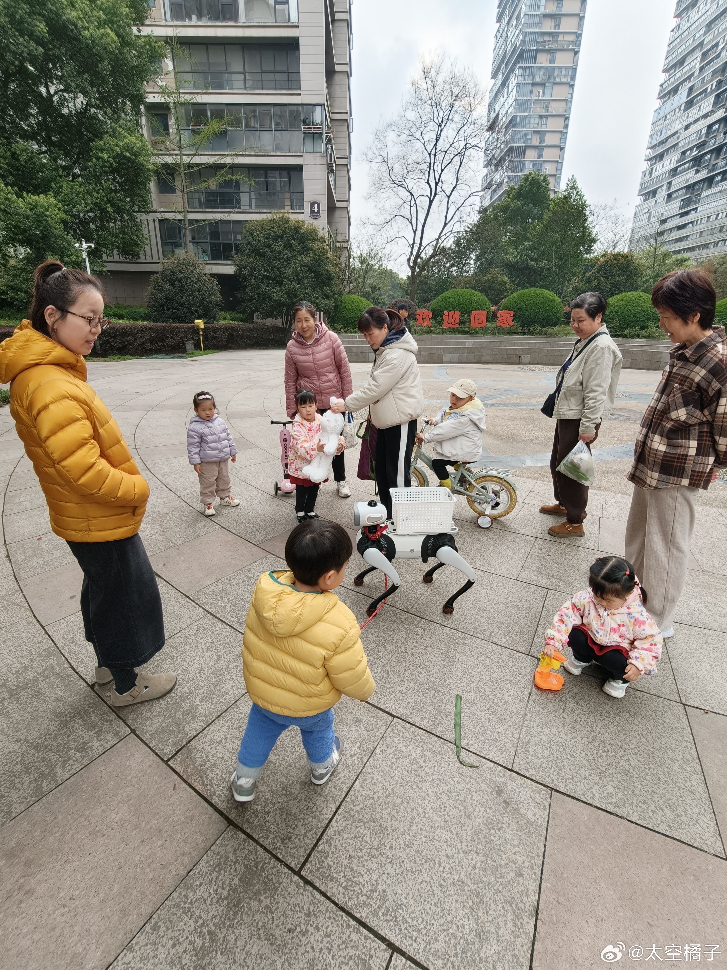 vbot压根不能出街回头率10000%去哪到处都是人围观比任何一款新能源车还猛…