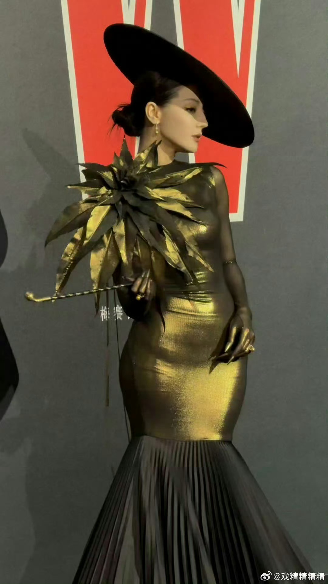 热巴脸链网友问她为啥不参加微博之夜？是为摘除红毯的标签吗？