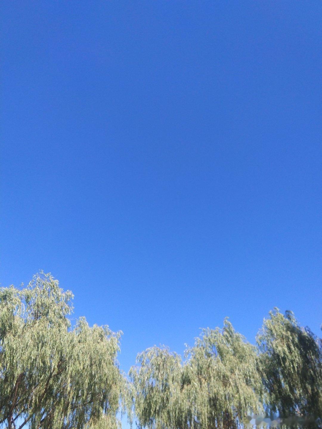 下午娃要上课外班，上个周没去，网课和这个时间上有时候有冲突，还有一篇作文没写，其