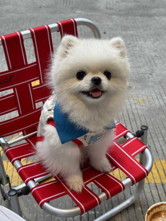 能不能出道了🎤