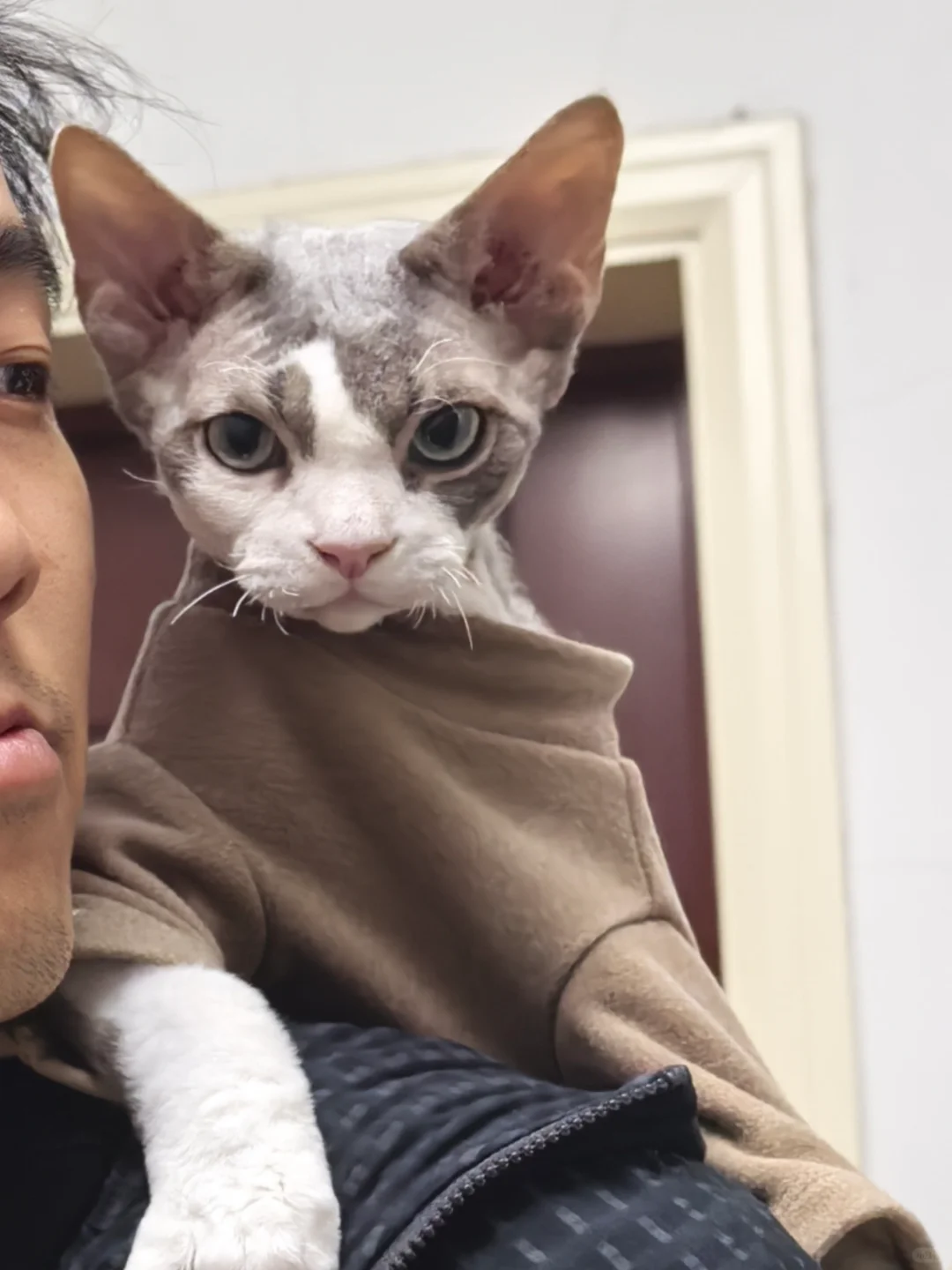 天冷了还有人给德文洗澡么