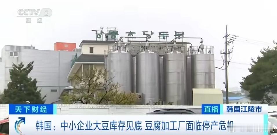 韩国人开始担心以后吃不上豆腐 没记错美国不是大豆滞销，卖不出去咩？怎么不找美国买