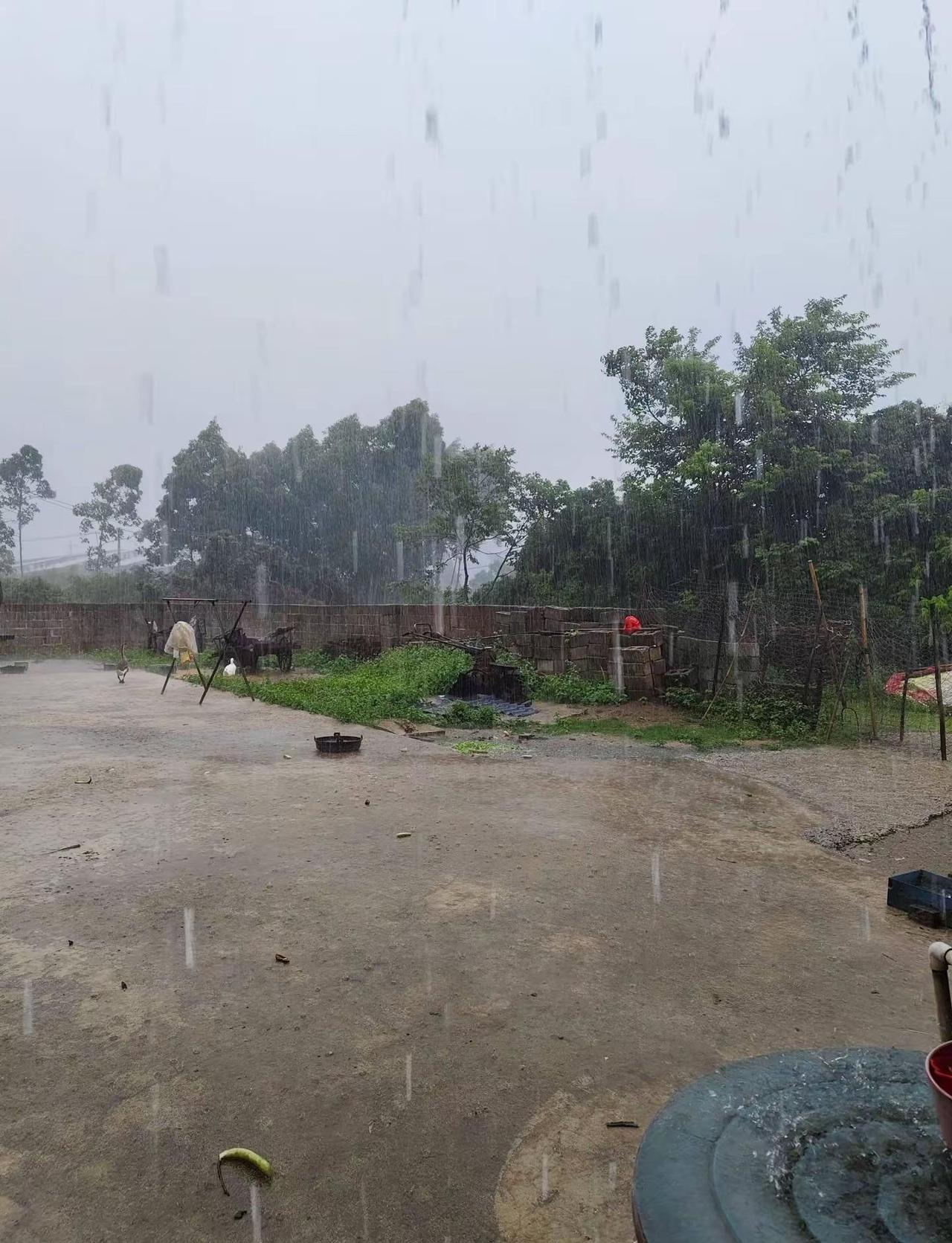 刚刚南宁突然就下了个大雨，现在又热了。刚才雨还挺大的凉快了一下，下完马上出太阳了