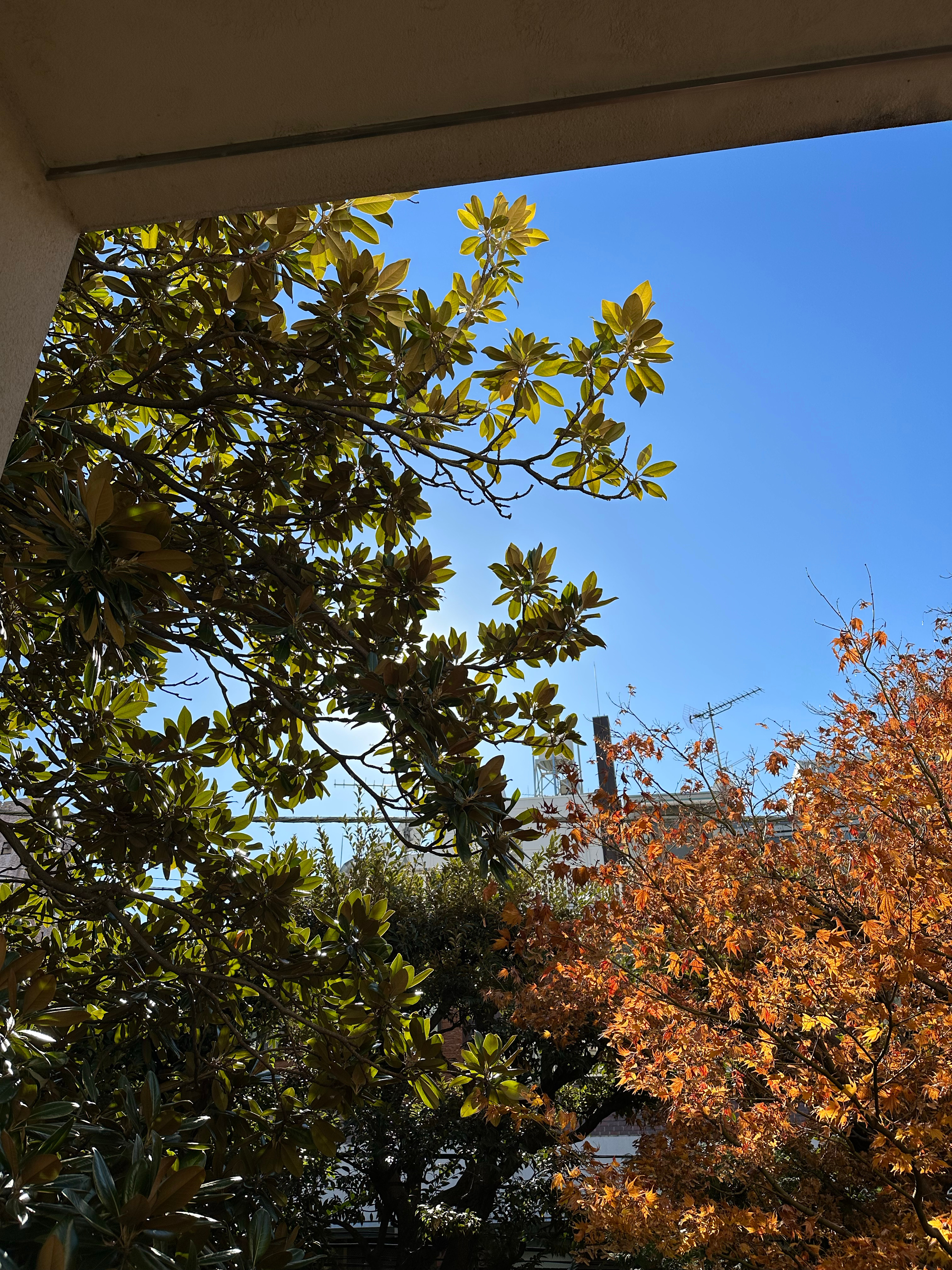 工作日 Working people👩🏻‍💻 ​​​