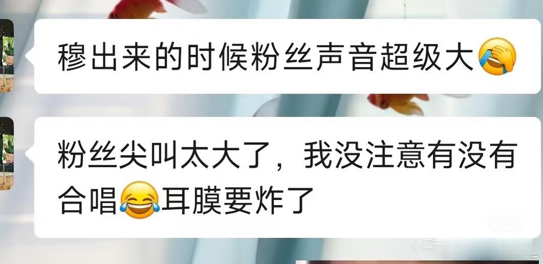 在xhs捡到路人的发言“穆一出来突然天亮了”，场馆都被灯牌照成粉色的了