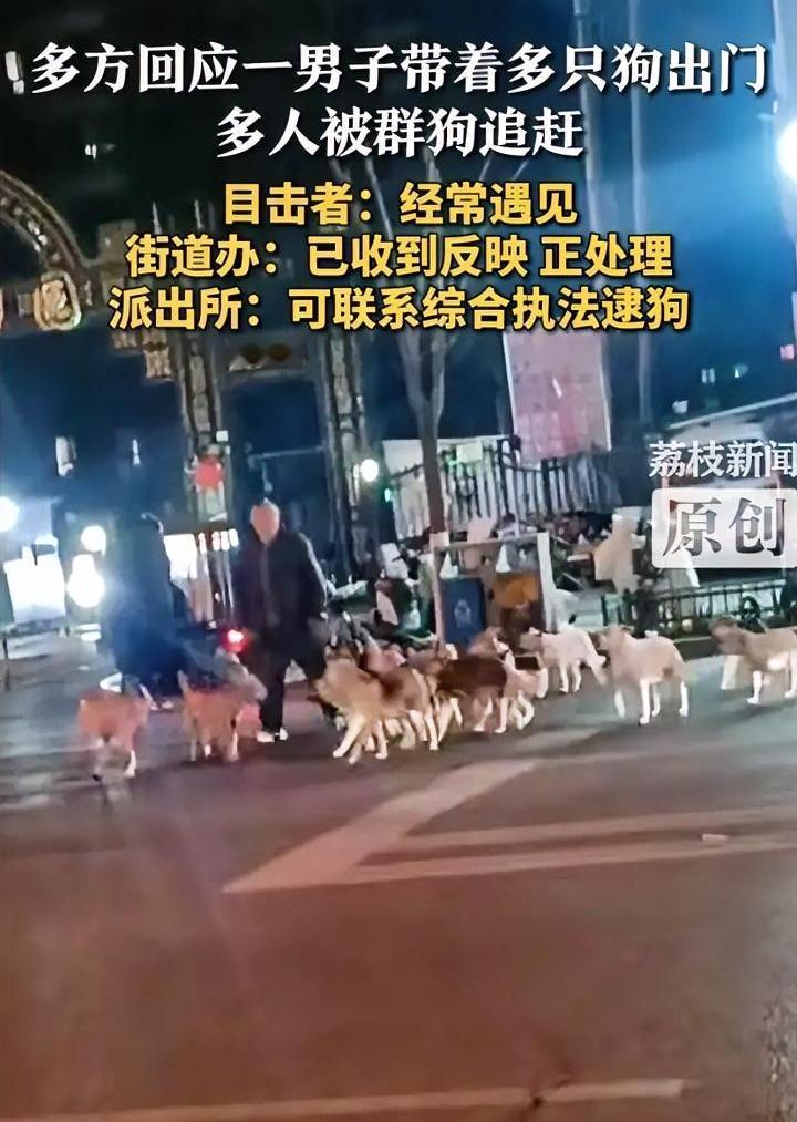 带20条狗出门不拴绳
养狗人还在不断挑战群众的底线，近期邯郸街头出现一群“流浪狗