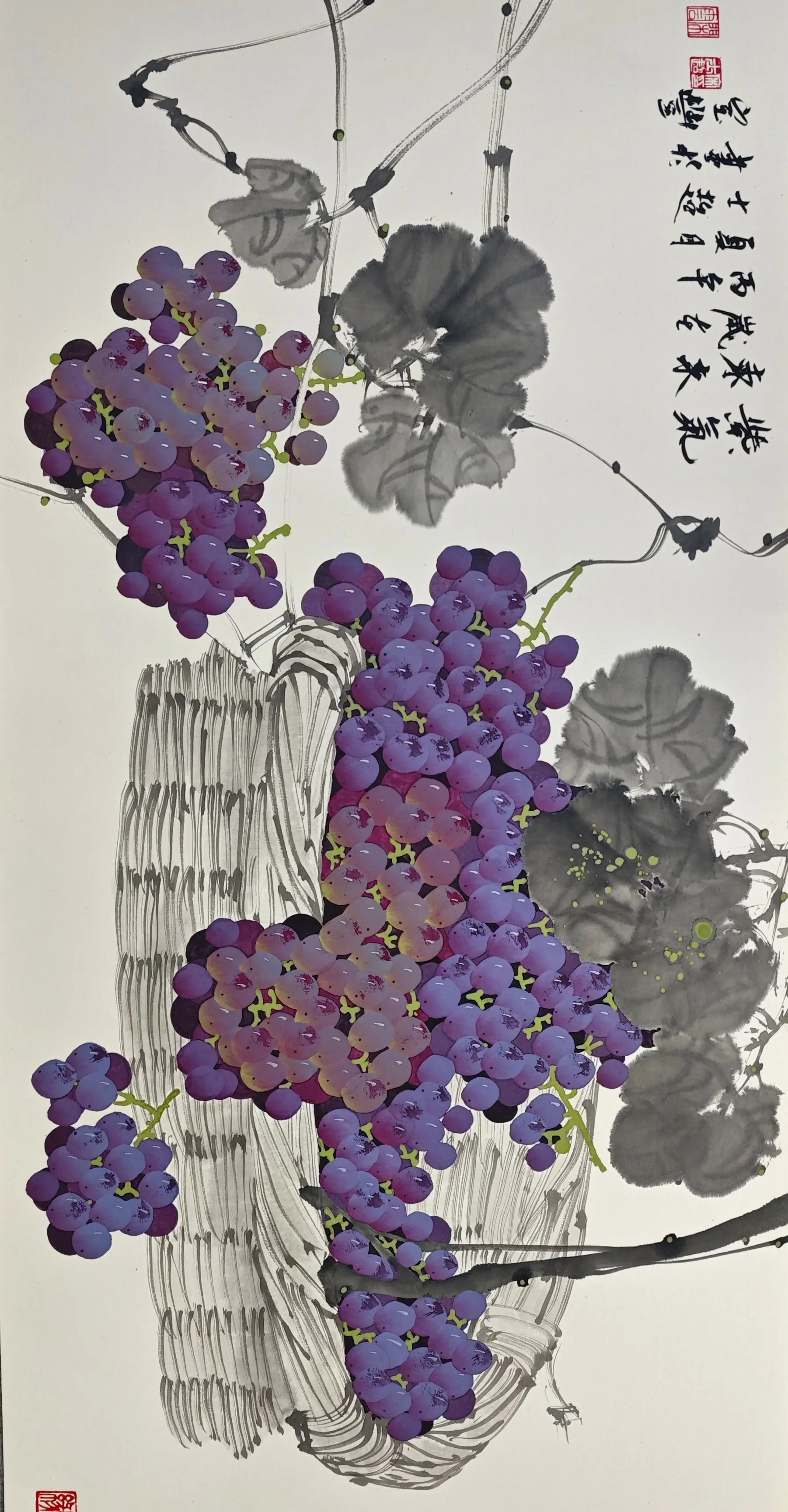擦霜葡萄。    画出来觉得还不错， 拍出来觉得好丑
