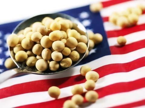 中国满足美国特朗普虚荣心后，扭脸又买别国大豆，一买就是25船。

1月29日，全