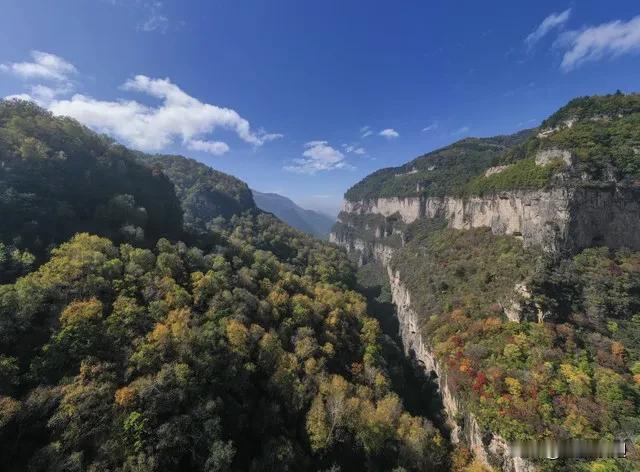 淄博有名的东西可不少。旅游景点方面，像博山风景名胜区·鲁山国家森林公园就很棒，里