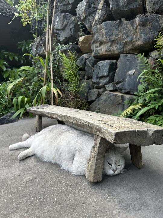 躺平躺平躺平