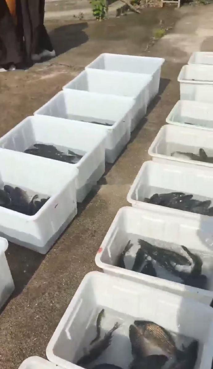 七月初一，天时殊胜，福田难遇，放生一念，能解冤结、转业增福，是修福修慧、护佑家宅