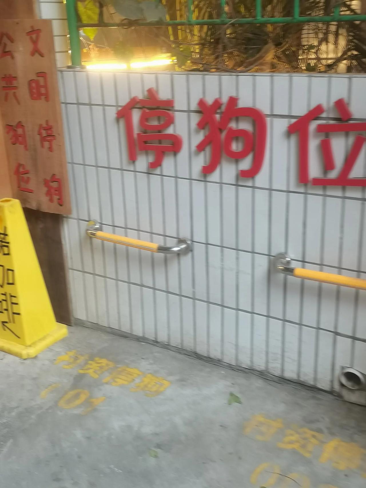 这个第一次见呢！最先以为是看错了