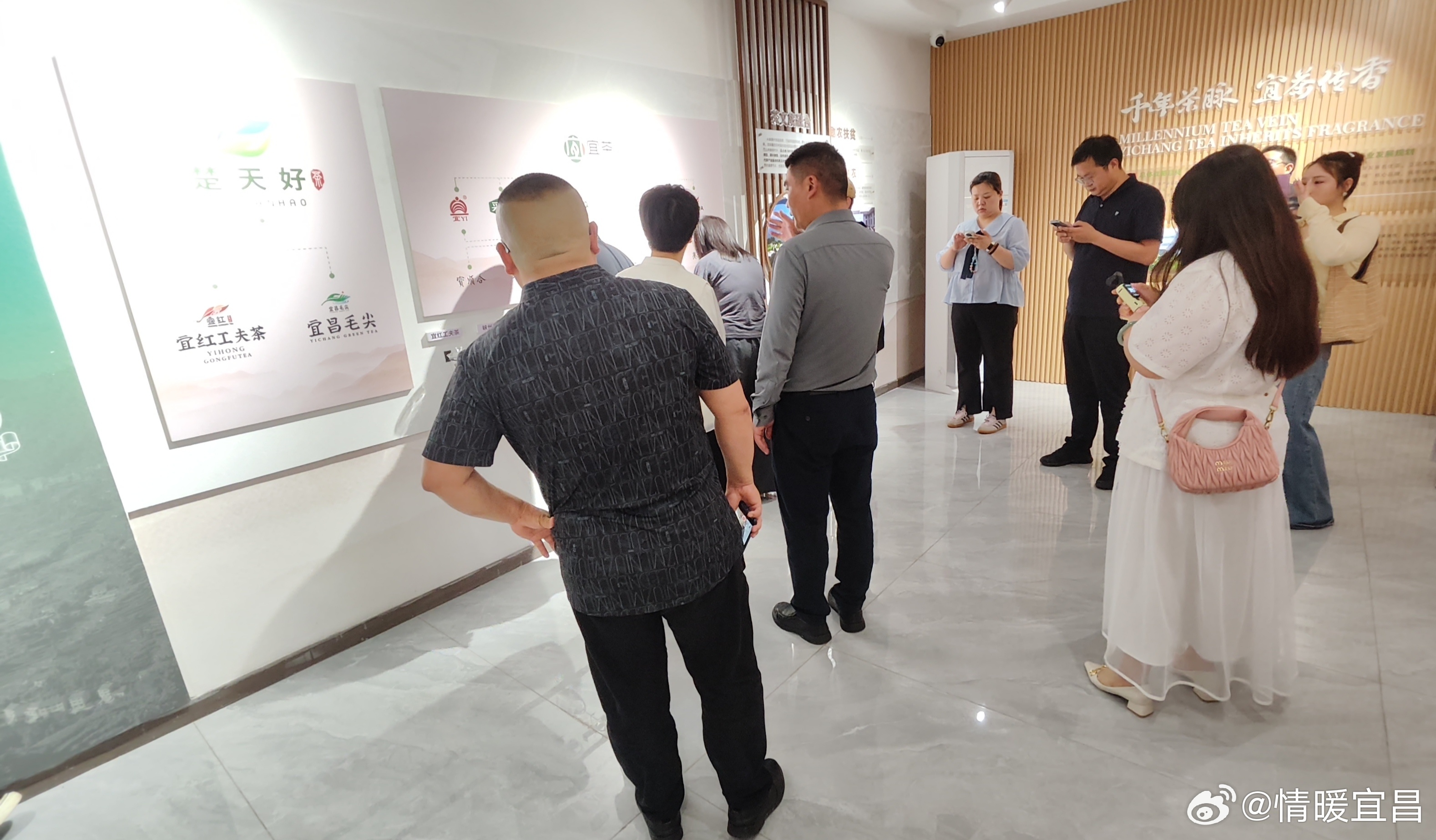 峡江茶香漫 宜茶韵传扬——2026国际茶日宜昌主题活动启幕。5.21国际茶日五月