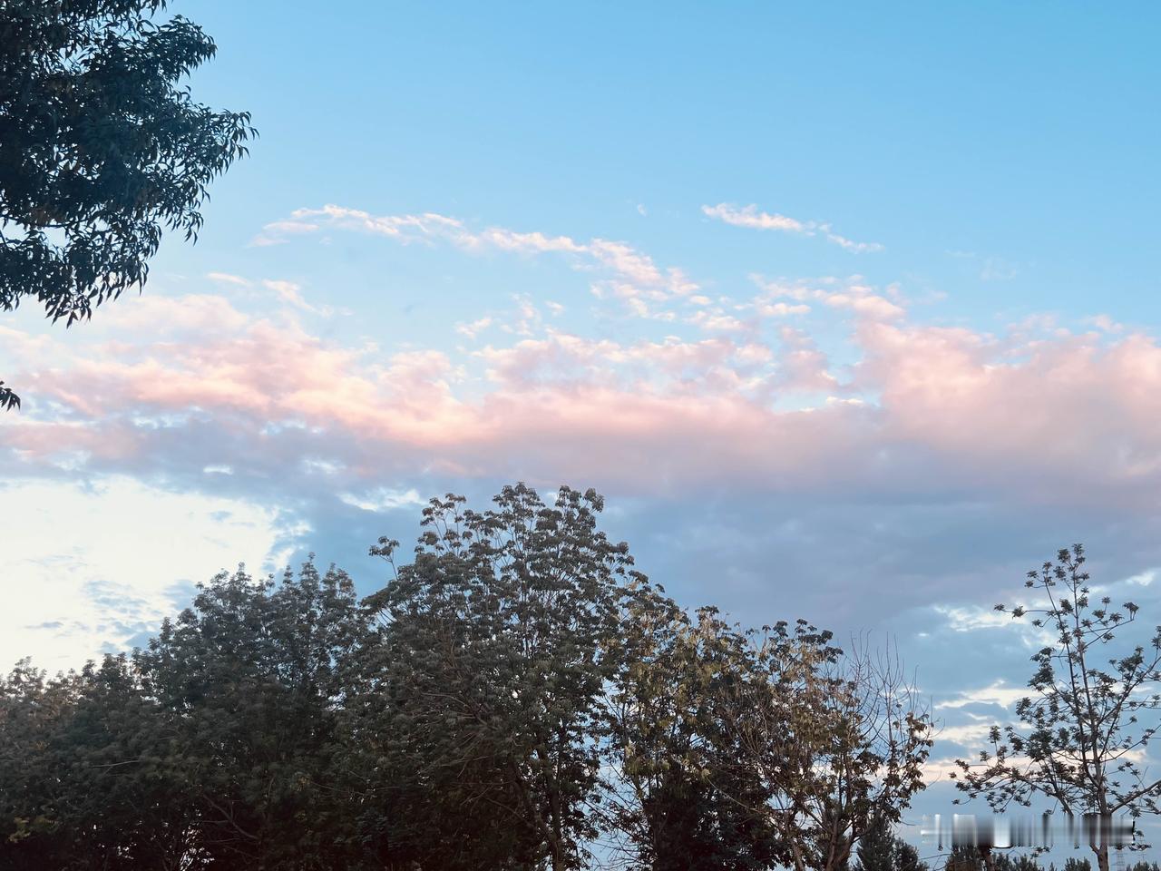 新疆的晚霞被诈骗后你第一时间报警了吗？ 新疆晚22点的新疆