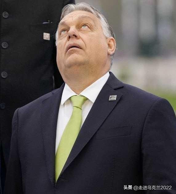 华盛顿与基辅“撇清关系”：美国驻欧盟大使回应匈牙利否决对乌援助

美国驻欧盟大使