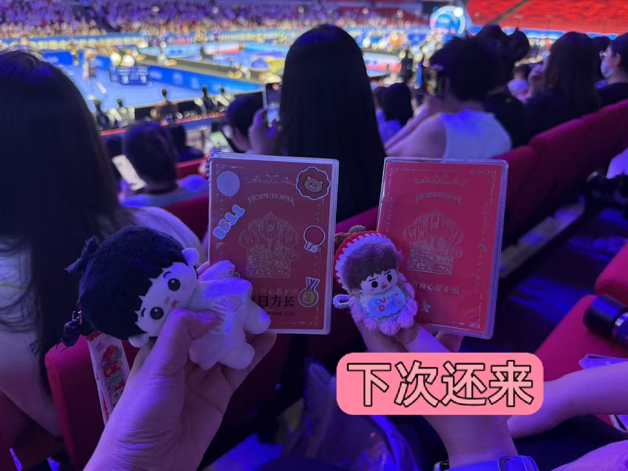 分开就期待下次见面，想宝宝，宝着王楚钦一辈子