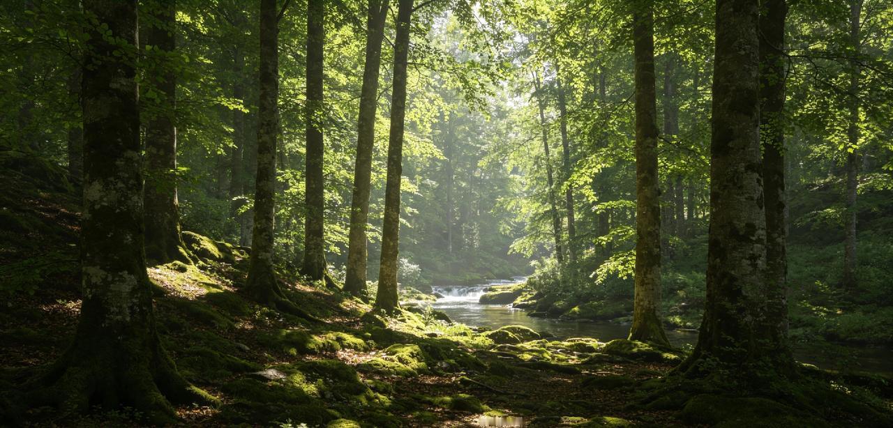 在东北林子边天黑了，千万别搭腔，这是保命的铁律

       老话说得好：“夜