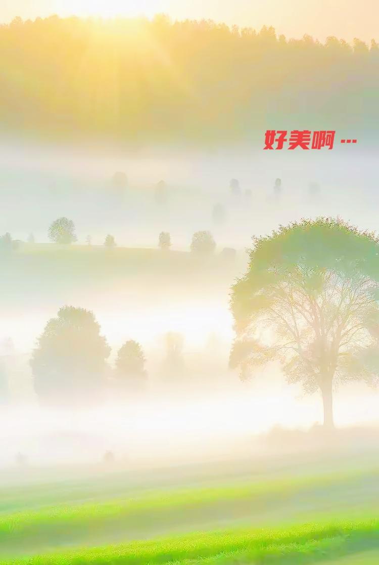 北大荒晨雾，小时候见过最仙的原野
​​北大荒的初秋清晨，最常见也最惊艳的风景，就