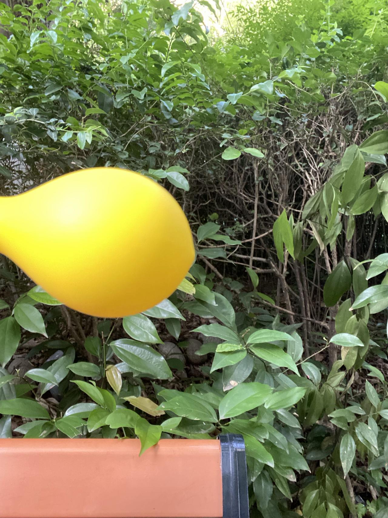 康复日记：楼下长椅与小黄气球 260418

还去不了公园，就守着小区树荫下的长