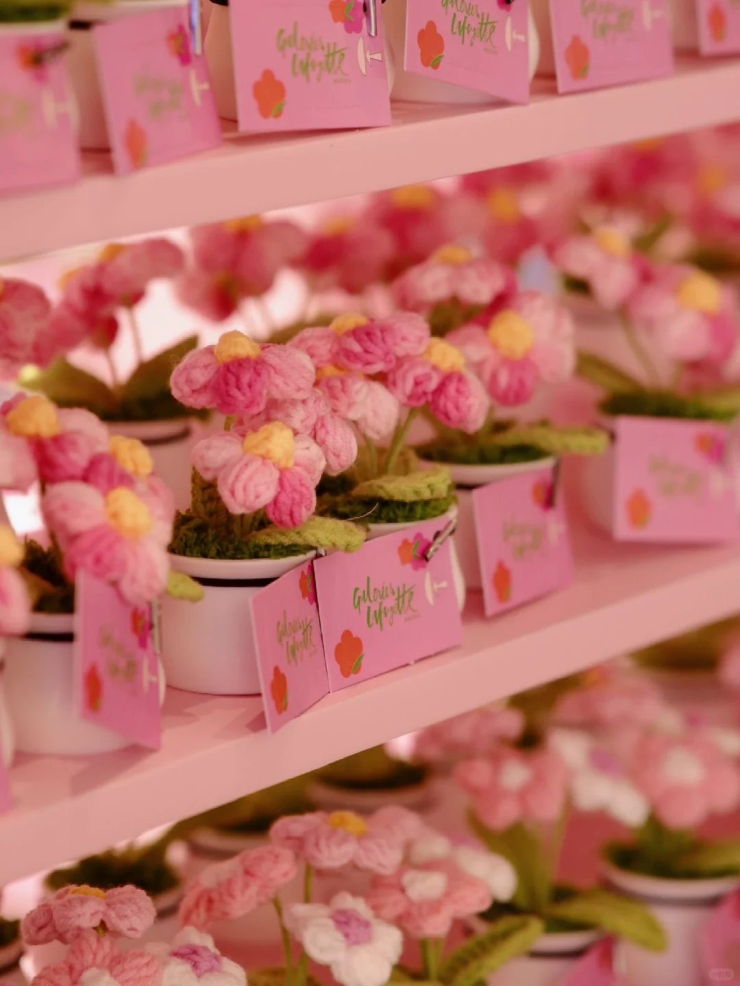 惊喜不断 澳门旅游攻略打卡澳门老佛爷