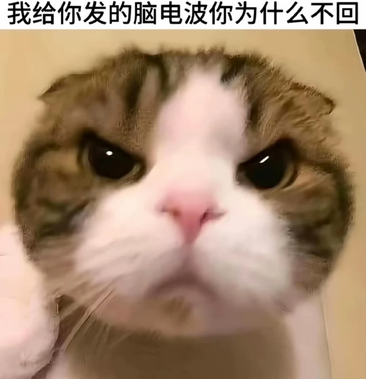 噢！是小咪meme！猫meme无水印搞笑表情包搞笑表情包