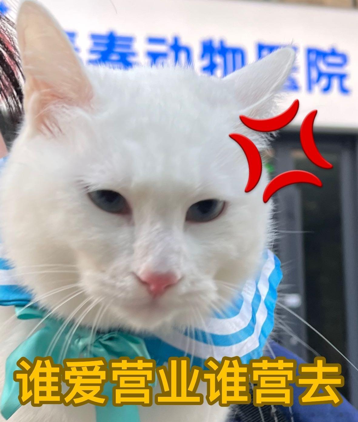 周一表情包再发一轮 ​​​
