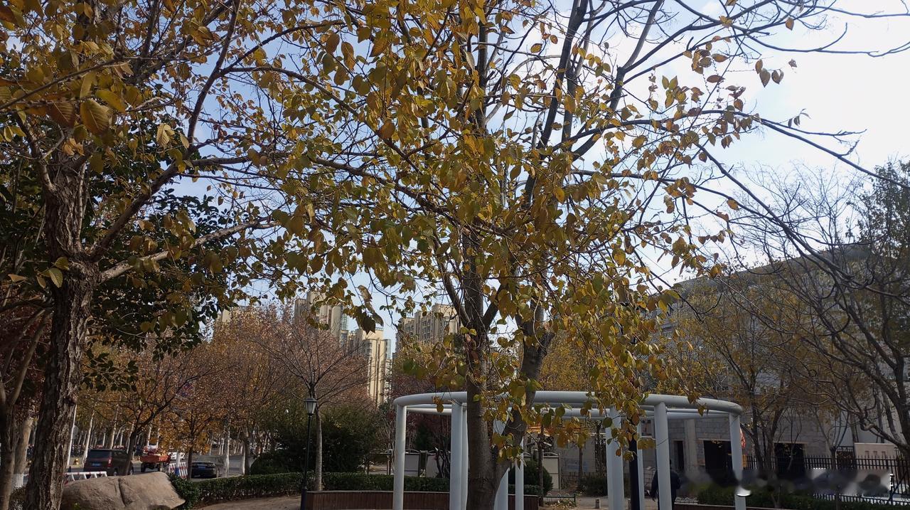 “我把车停在车位上被砸了，你们物业就得赔！！”

天还没亮，就听见外面吵吵个不停