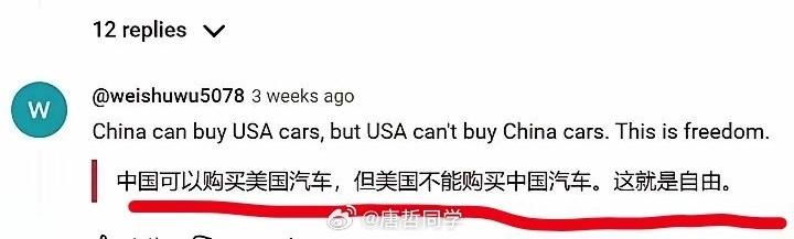 为什么中国能买特斯拉，而美国买不了比亚迪？张维迎、许小年两个“经济学家”极力鼓吹