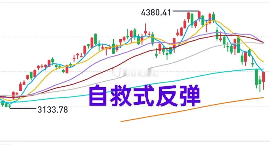 大盘惊天逆转，短期底部确立，接下来就是“自救之路”！恭喜那些忍住手没有割肉的投资