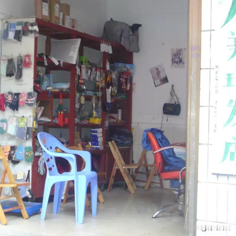 五元快剪日收入多少？
在湖南省桑植县城梅尼广场的散步人行道上，有几位陪读家长在搞