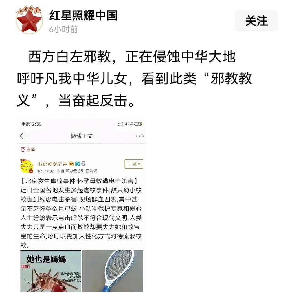 白左在中国掀不起浪，说虐蚊子一句话就能怼的哑口无言，你现在可以去野外喂蚊子，只有