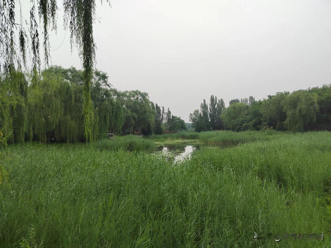 记录我的2025北坞公园位于北京市海淀区，是一个结合自然美景与文化历史的休闲场所