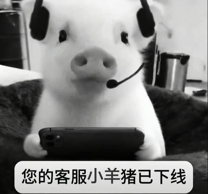 好困🥱，我要睡觉啦，晚安💤 