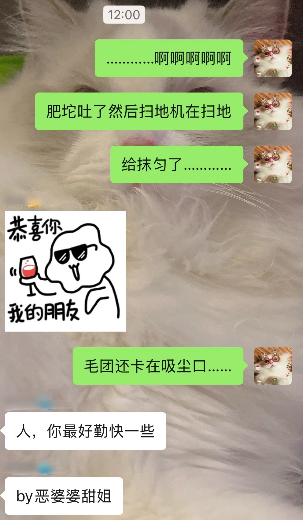 今日崩溃（1/1） 