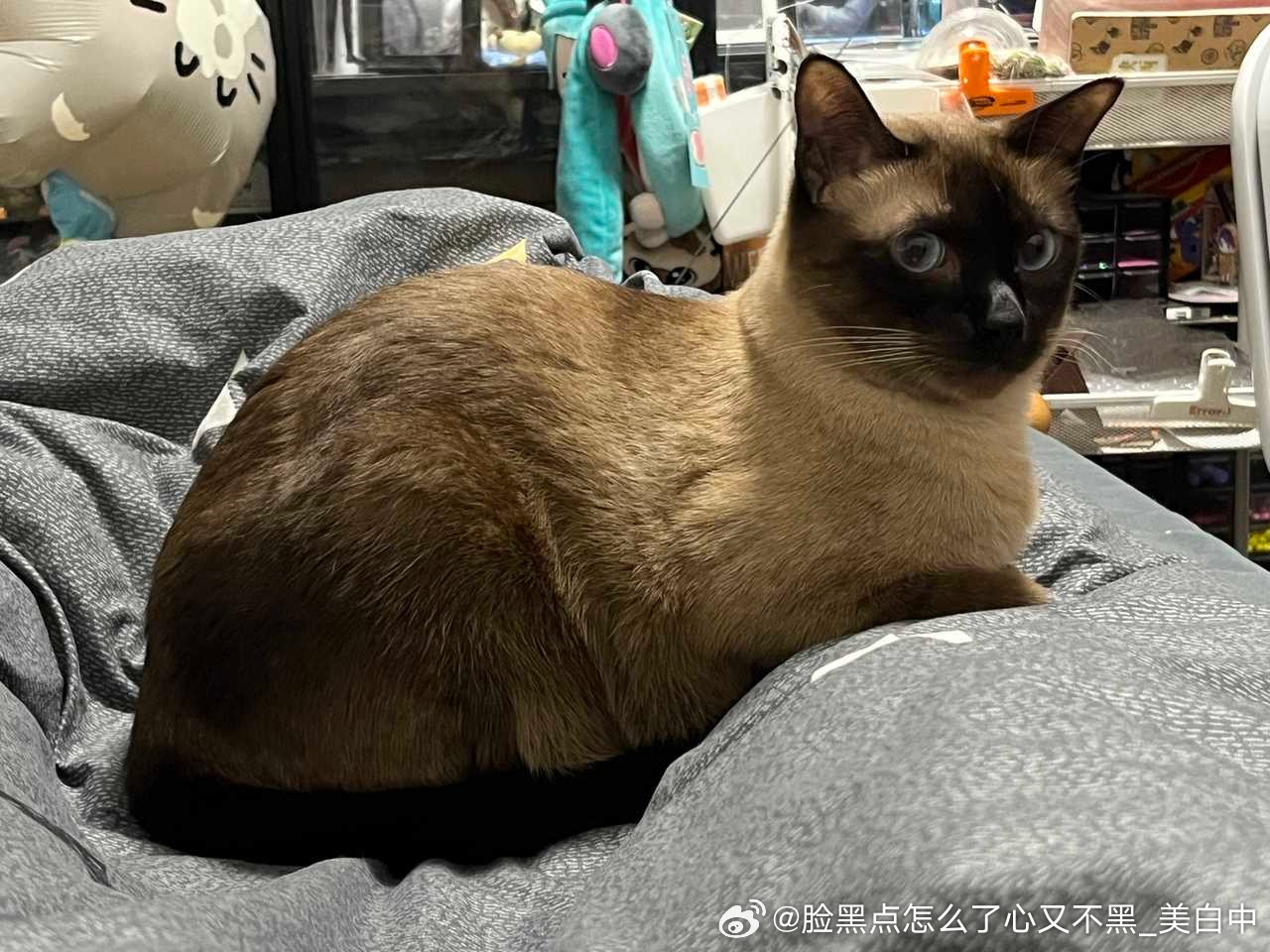 早安逼罗