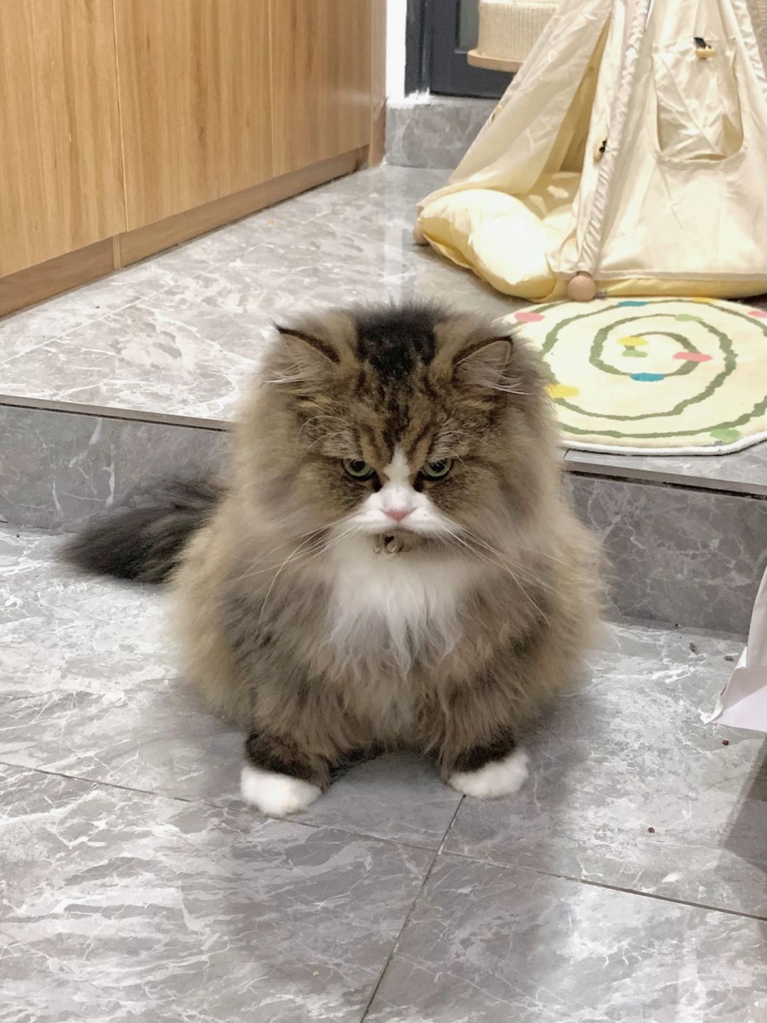 晚上坏！！！😡