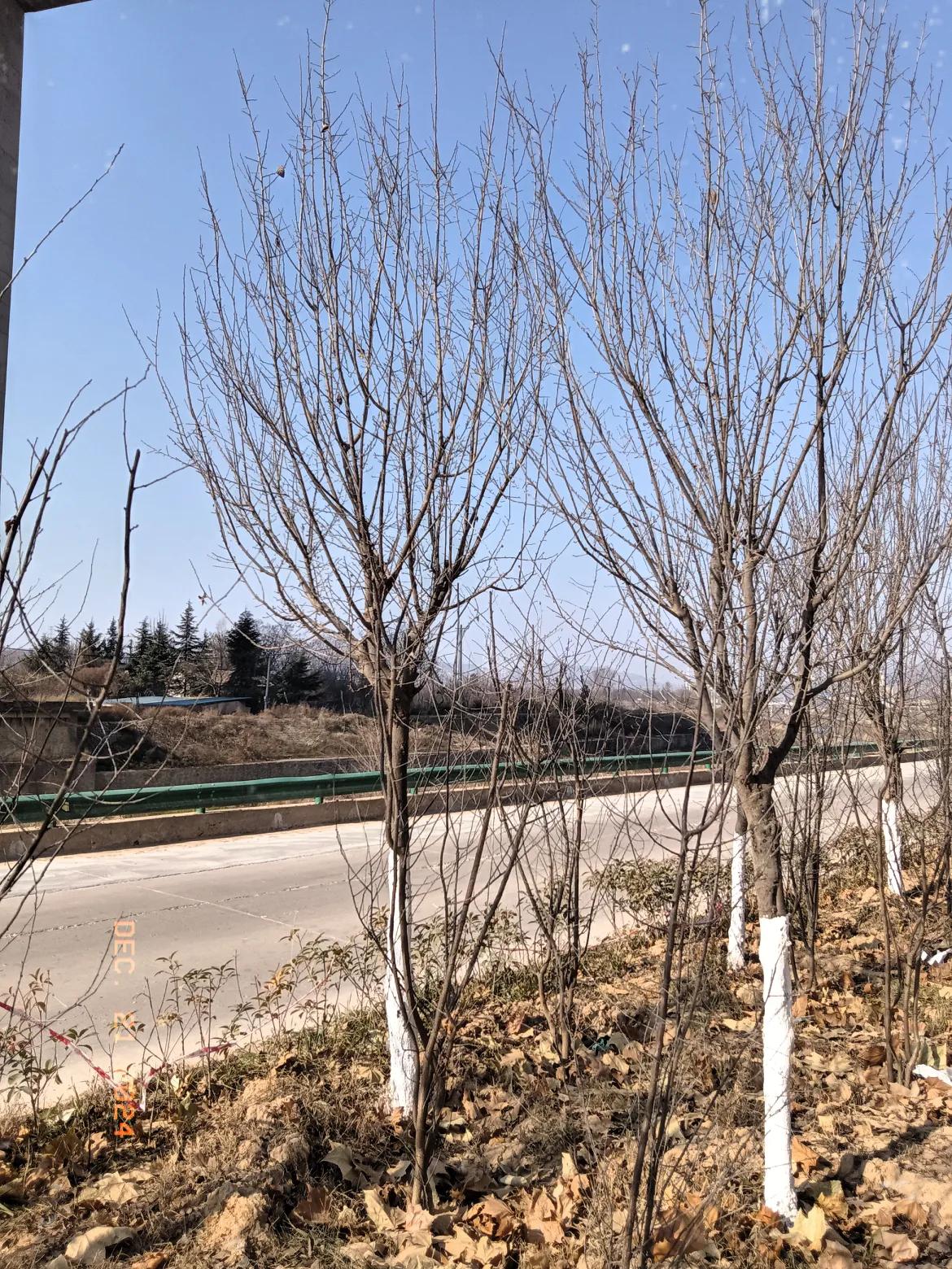 人生最好的状态，就是永远走在让自己成长的路上，不羡慕别人，都不知道背后的心酸，心