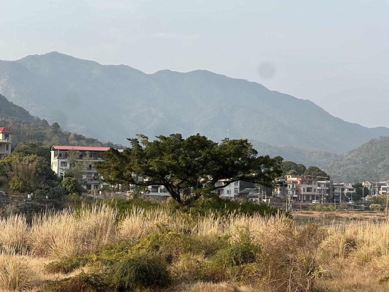 灵秀莆田，生态引领：坪盘——山水之间的悠然村落

在莆田涵江区白沙镇的群山环抱中