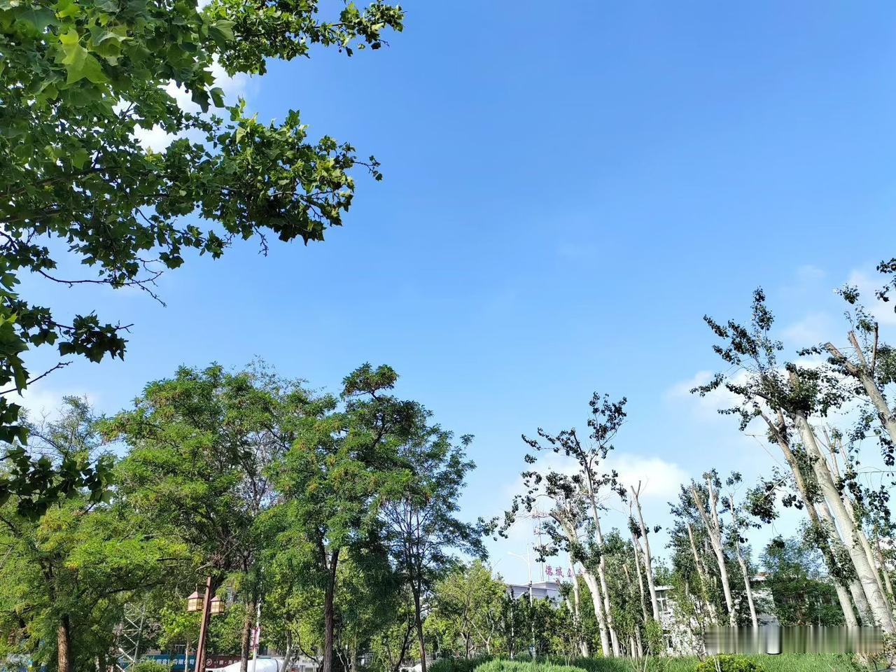 读到一段很现实的话：“所谓夫妻，不过是半个陌生人，加上半个旧相识。熬到后来，连架