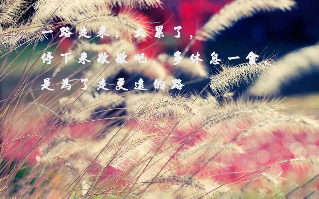 给自己一点喘息时间，这不是错。
小兰十六岁嫁给老公，老公内向不善言辞，两人开着一
