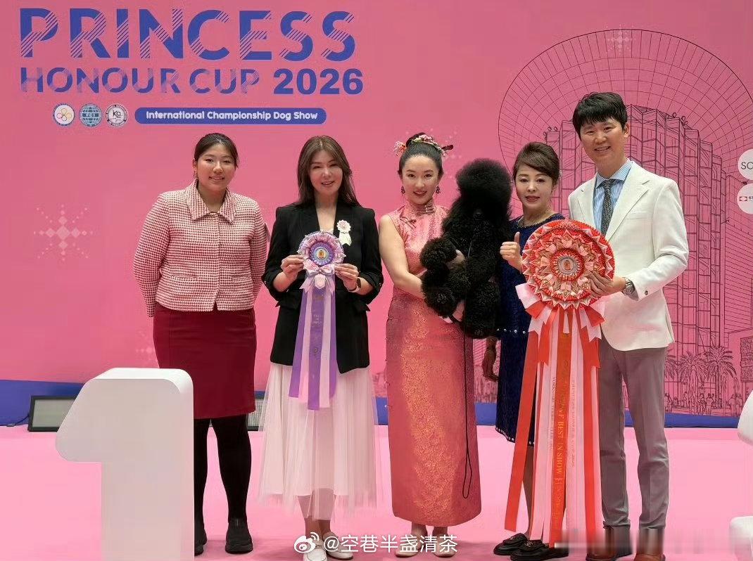 霍思燕淡出演艺圈后深耕训犬领域霍思燕真的很棒，人美心善，把那么多毛孩子养的那么好