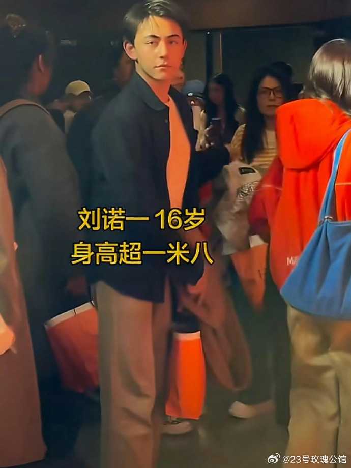 刘烨16岁儿子诺一颜值 