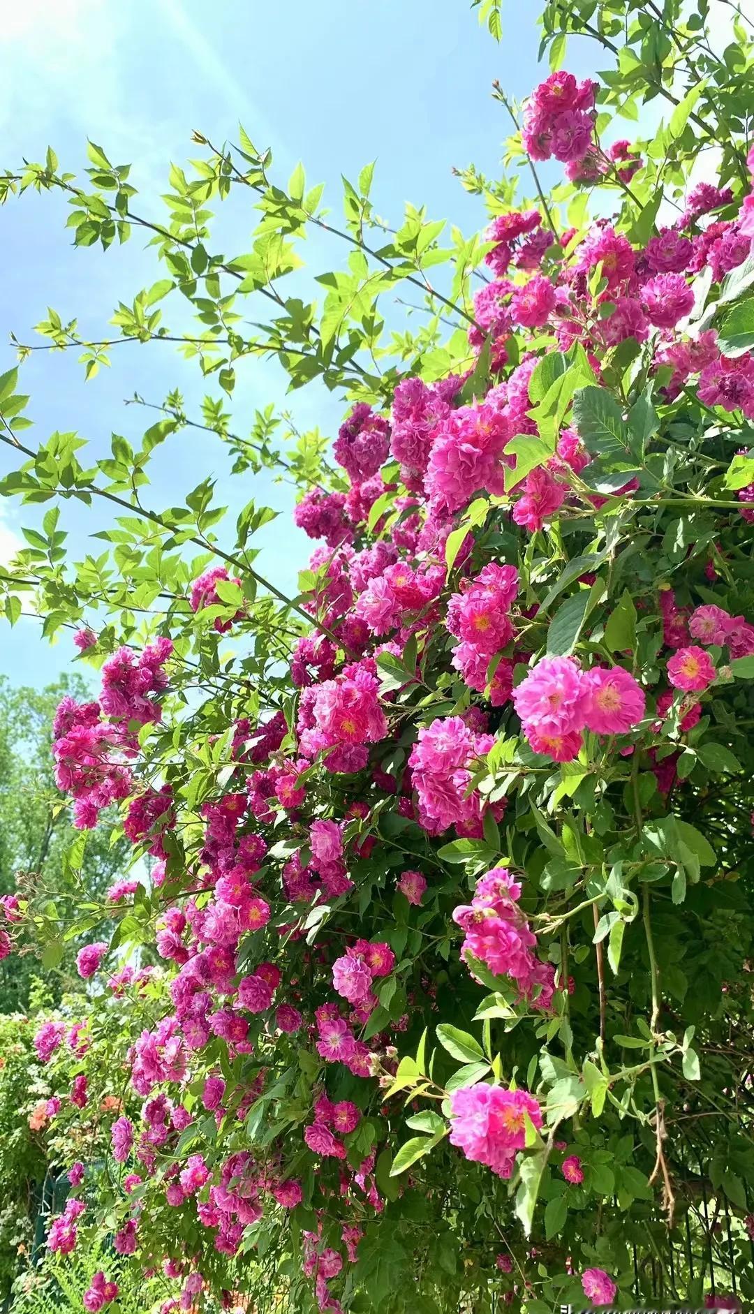 你拼尽全力考进银行，却发现这只是另一场残酷游戏的入场券。
招聘海报上写着“本科不